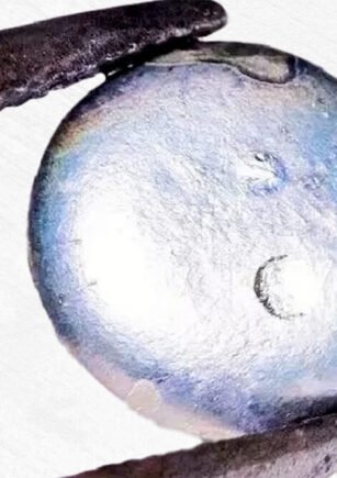 thallium: uncovering the mysterious element discovered by sir william crookes in 1861